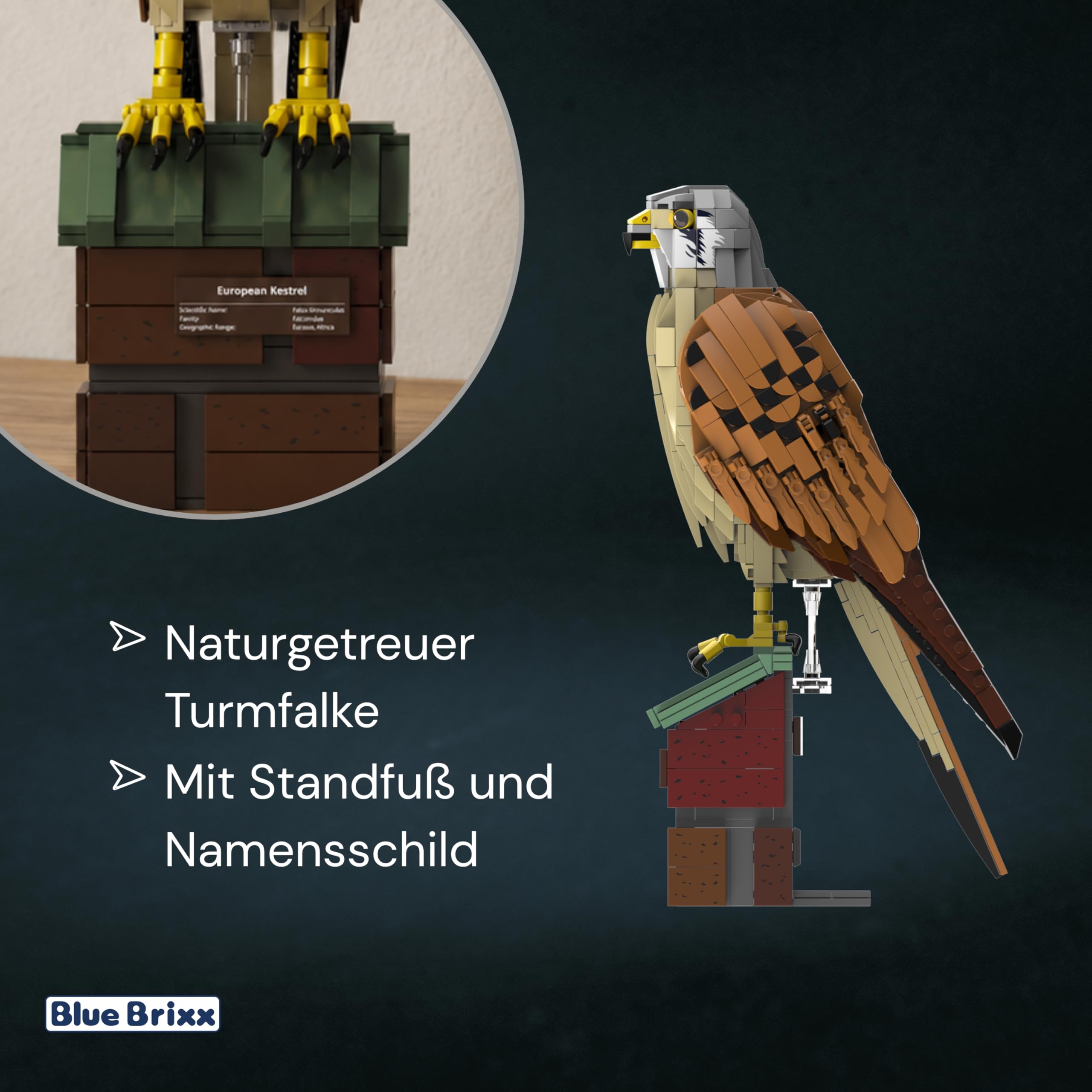 bluebrixx-pro-turmfalke-falco-tinnunculus-vogelmodell-mit-standfu-und-774-teilen image 3