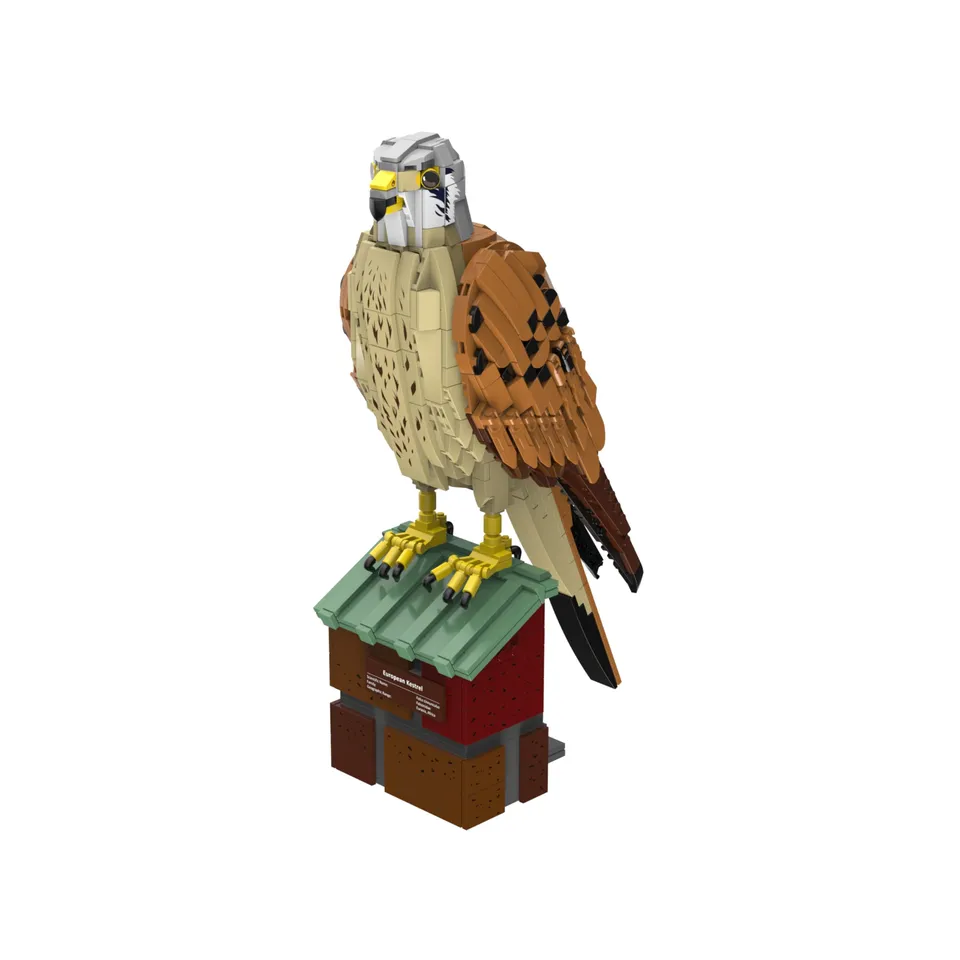 bluebrixx-pro-turmfalke-falco-tinnunculus-vogelmodell-mit-standfu-und-774-teilen image 1