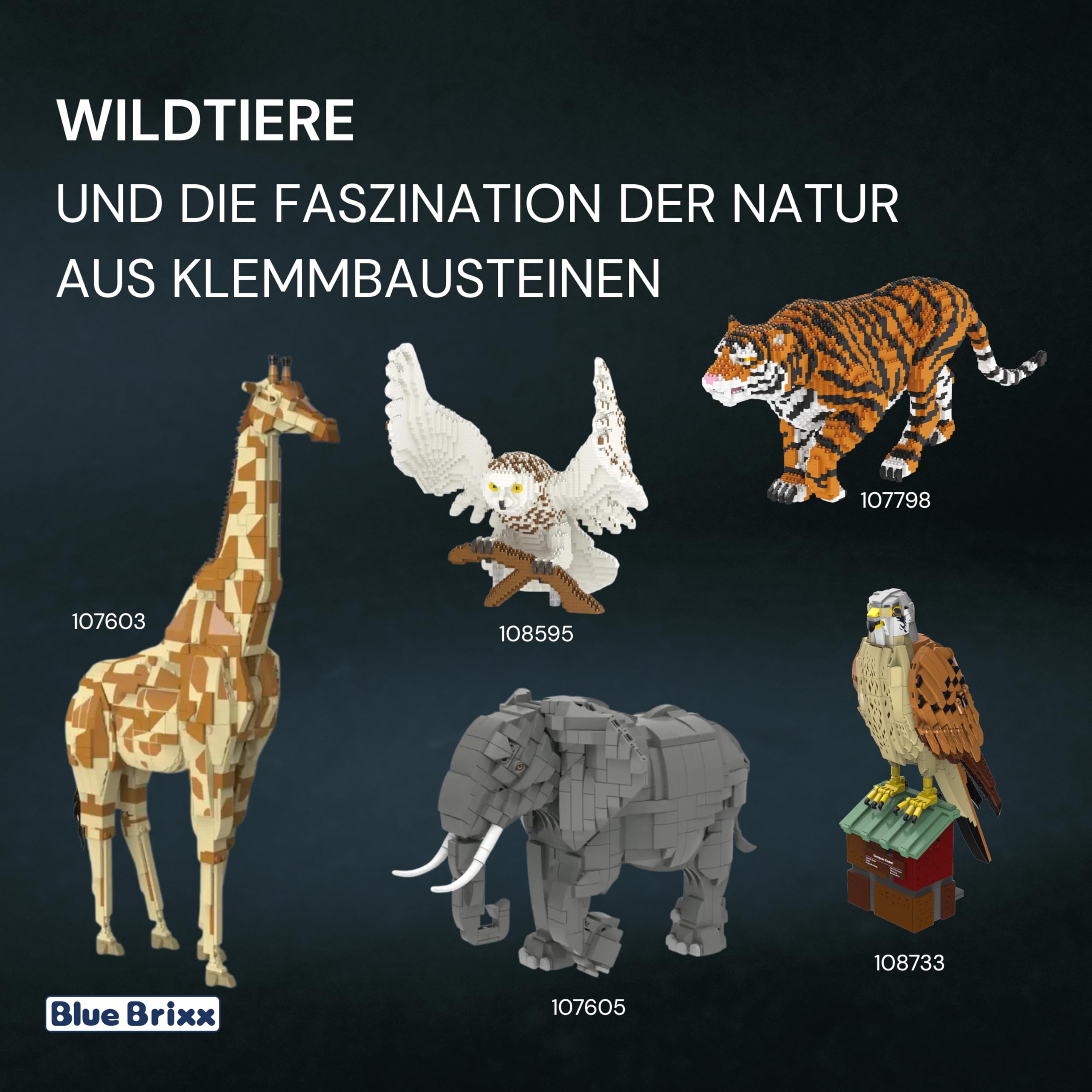 bluebrixx-pro-turmfalke-falco-tinnunculus-vogelmodell-mit-standfu-und-774-teilen image 6