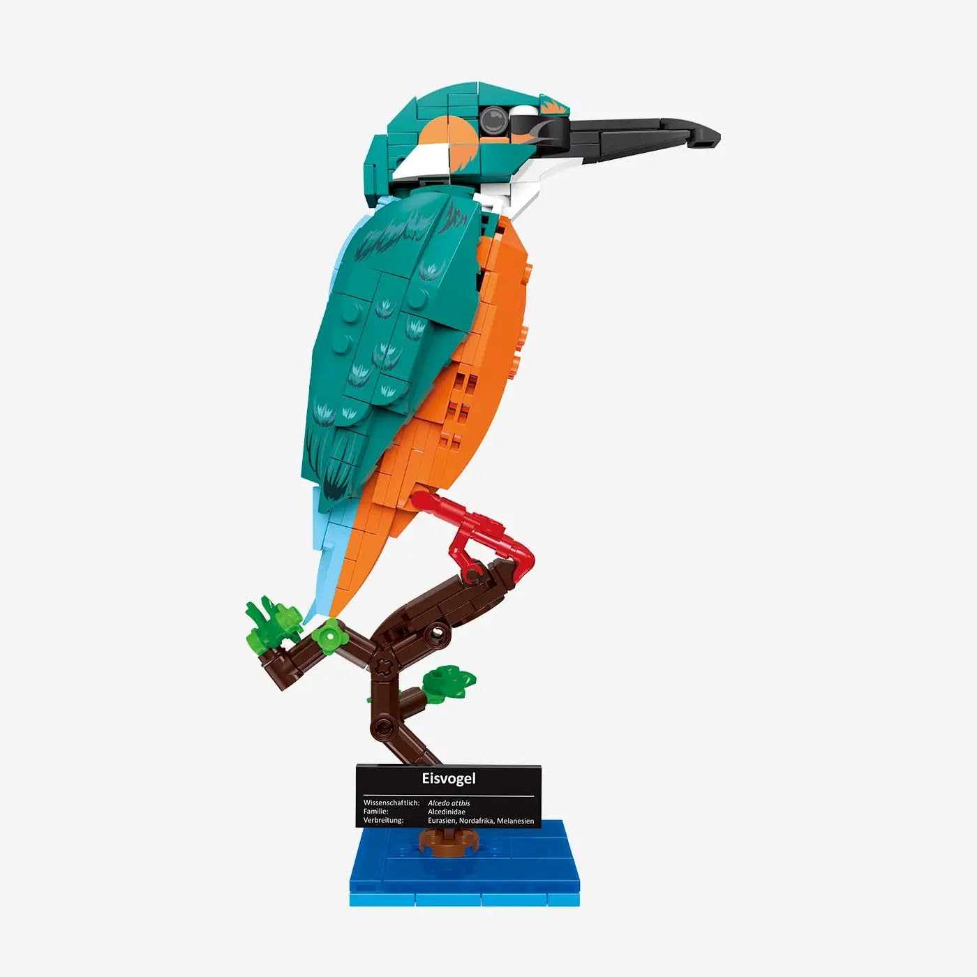 bluebrixx-pro-eisvogel-alcedo-atthis-vogelmodell-286-klemmbausteine image 3