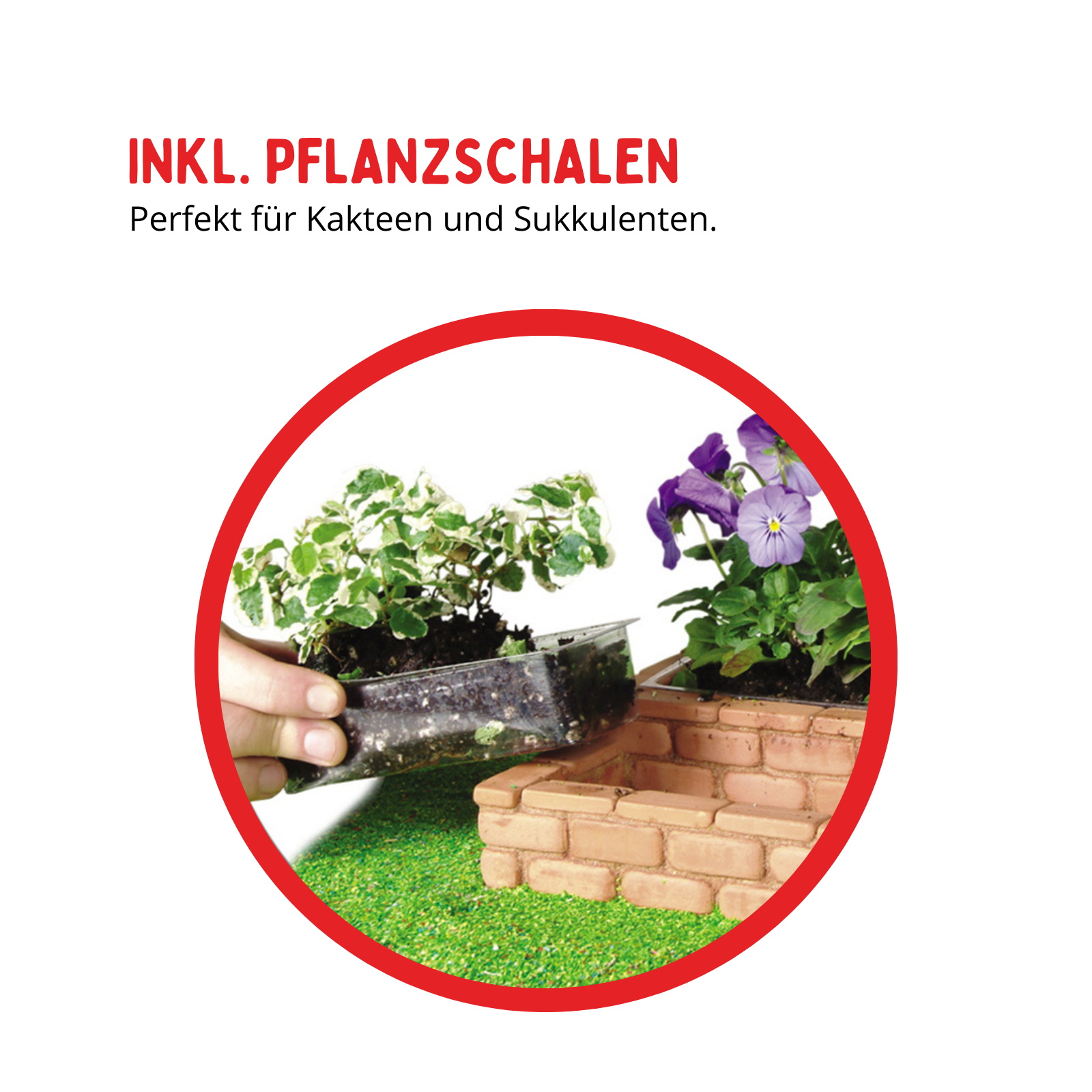 teifoc-garten-bauwelten-set-zum-bauen-und-bepflanzen image 6