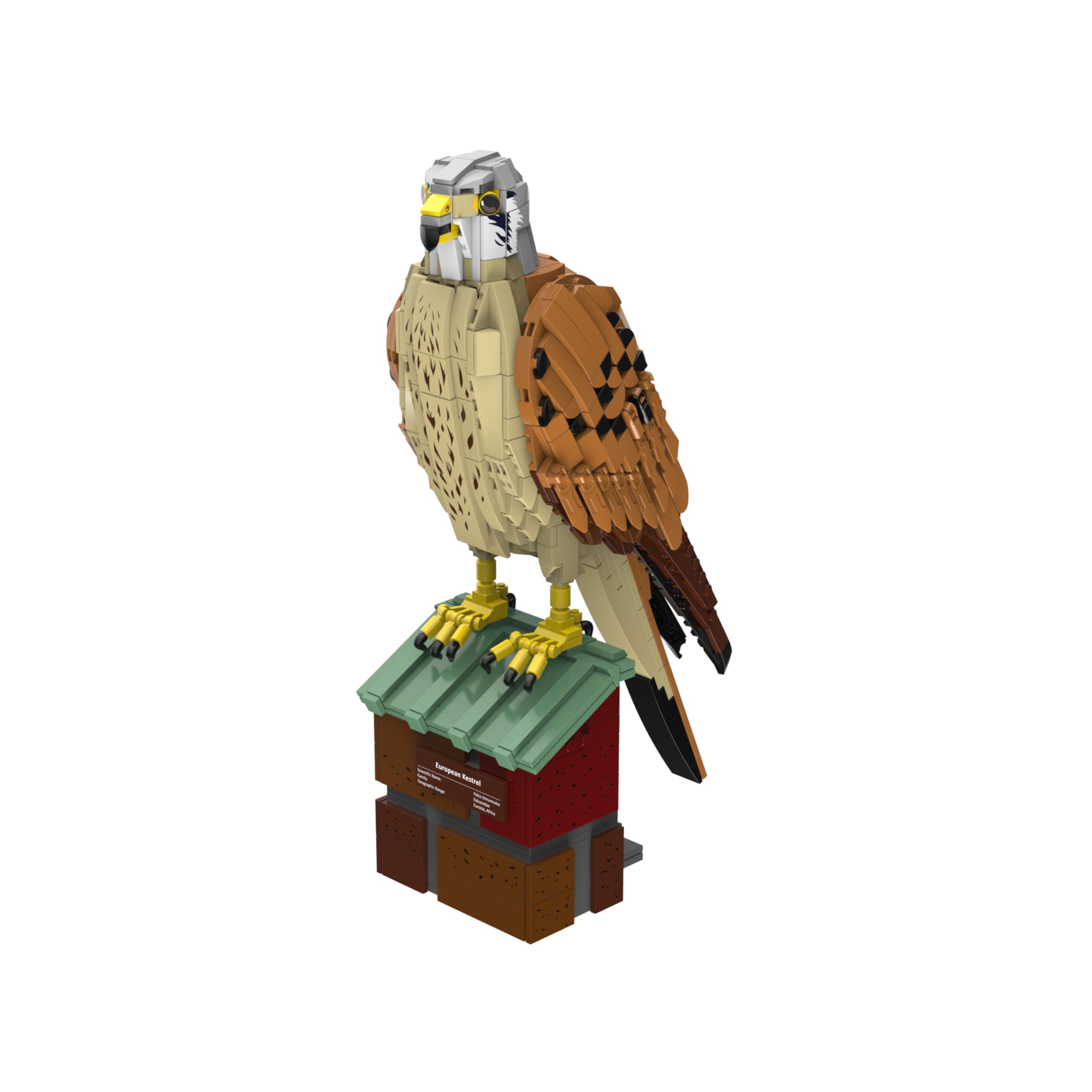 bluebrixx-pro-turmfalke-falco-tinnunculus-vogelmodell-mit-standfu-und-774-teilen image 1