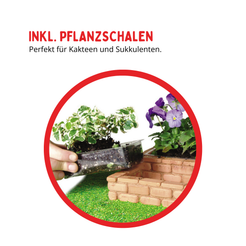 teifoc-garden-bauset-9010-bauen-und-bepflanzen image 2