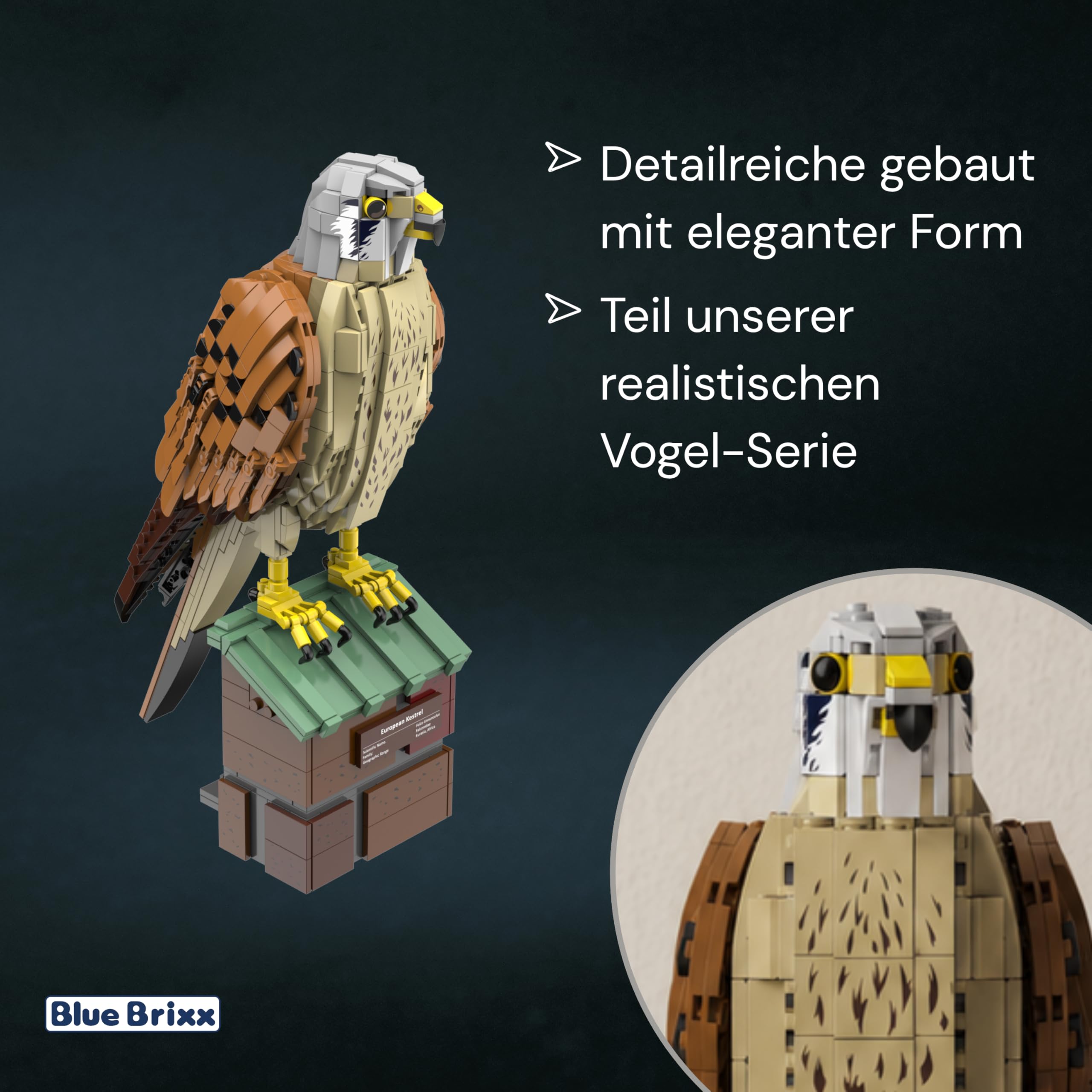 bluebrixx-pro-turmfalke-falco-tinnunculus-vogelmodell-mit-standfu-und-774-teilen image 4